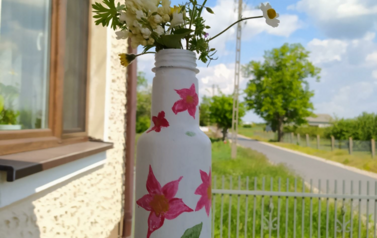 Projekt ekologiczny - 16.06.2020 7