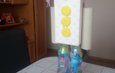 Projekt ekologiczny - 16.06.2020 38