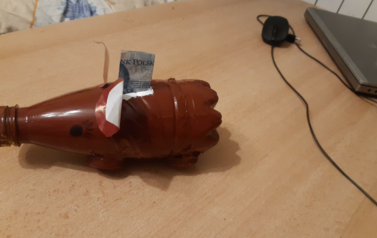 Projekt ekologiczny - 16.06.2020 45