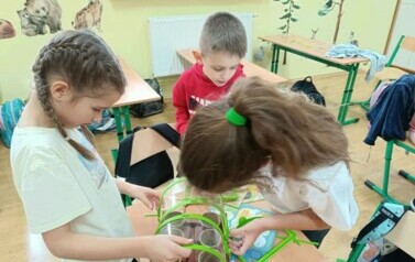 Pracownia ekologiczna 5
