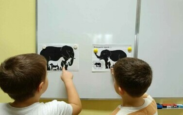 Pracownia ekologiczna 16
