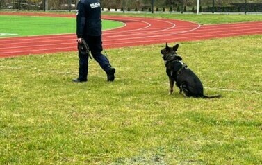 Spotkanie z Policją - 19.11.2024 12