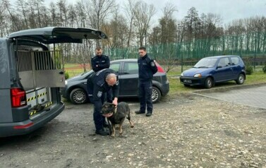 Spotkanie z Policją - 19.11.2024 15