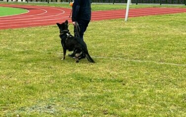 Spotkanie z Policją - 19.11.2024 16