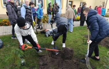 "Zielona i przyjazna przestrzeń wok&oacute;ł nas"  4