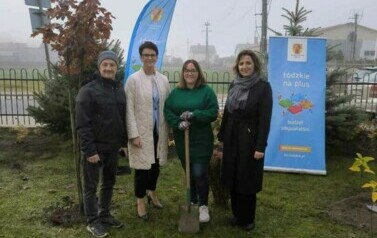 "Zielona i przyjazna przestrzeń wok&oacute;ł nas"  6