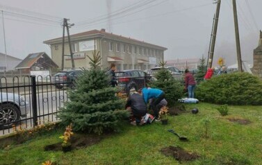 "Zielona i przyjazna przestrzeń wok&oacute;ł nas"  18