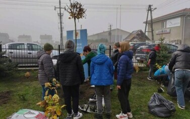 "Zielona i przyjazna przestrzeń wok&oacute;ł nas"  24
