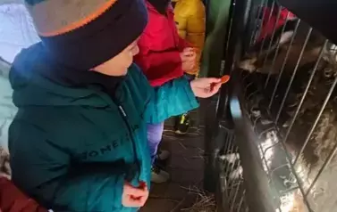 Wycieczka Przedszkolak&oacute;w i klasy I - 2.12.2024 26