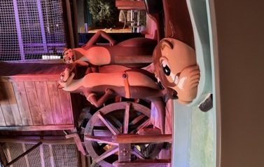 IMG_8049