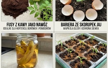 Warsztaty ekologiczne dla klas I-III "O czystości w&oacute;d" 32