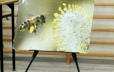Warsztaty pszczelarskie - 17.05.2023 18