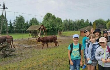 Wycieczka do ZOO Safari Borysew - 23.06.2021 14
