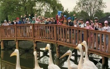 Wycieczka do ZOO Safari Borysew - 23.06.2021 16