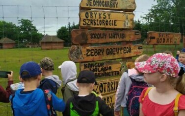 Wycieczka do ZOO Safari Borysew - 23.06.2021 17