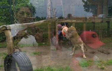 Wycieczka do ZOO Safari Borysew - 23.06.2021 20