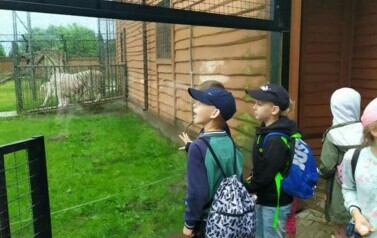 Wycieczka do ZOO Safari Borysew - 23.06.2021 23