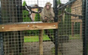 Wycieczka do ZOO Safari Borysew - 23.06.2021 24