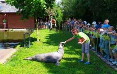 Wycieczka do ZOO Safari Borysew - 23.06.2021 29
