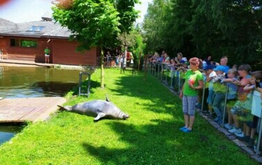 Wycieczka do ZOO Safari Borysew - 23.06.2021 35