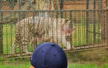 Wycieczka do ZOO Safari Borysew - 23.06.2021 45