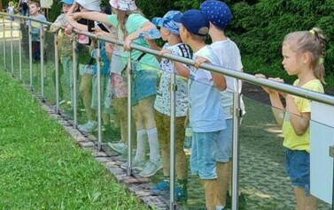 Wycieczka do ZOO Safari Borysew - 23.06.2021 54