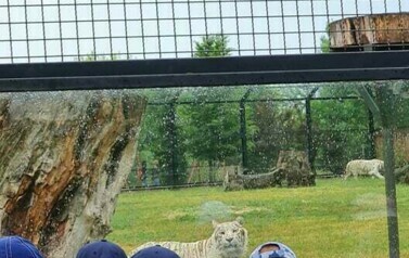 Wycieczka do ZOO Safari Borysew - 23.06.2021 61
