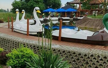 Wycieczka do ZOO Safari Borysew - 23.06.2021 87