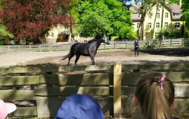 Las Łagiewnicki klasy I i IIa - 20.05.2021 11