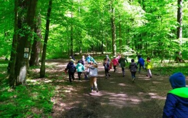 Las Łagiewnicki klasy I i IIa - 20.05.2021 19