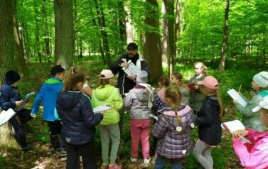 Las Łagiewnicki klasy I i IIa - 20.05.2021 21