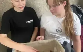 Dzień Życzliwości 4