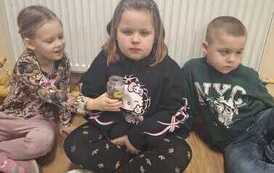 Warsztaty ekologiczne w przedszkolu 8