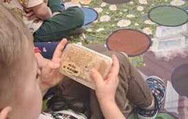 Warsztaty ekologiczne w przedszkolu 43