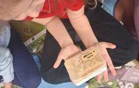 Warsztaty ekologiczne w przedszkolu 80